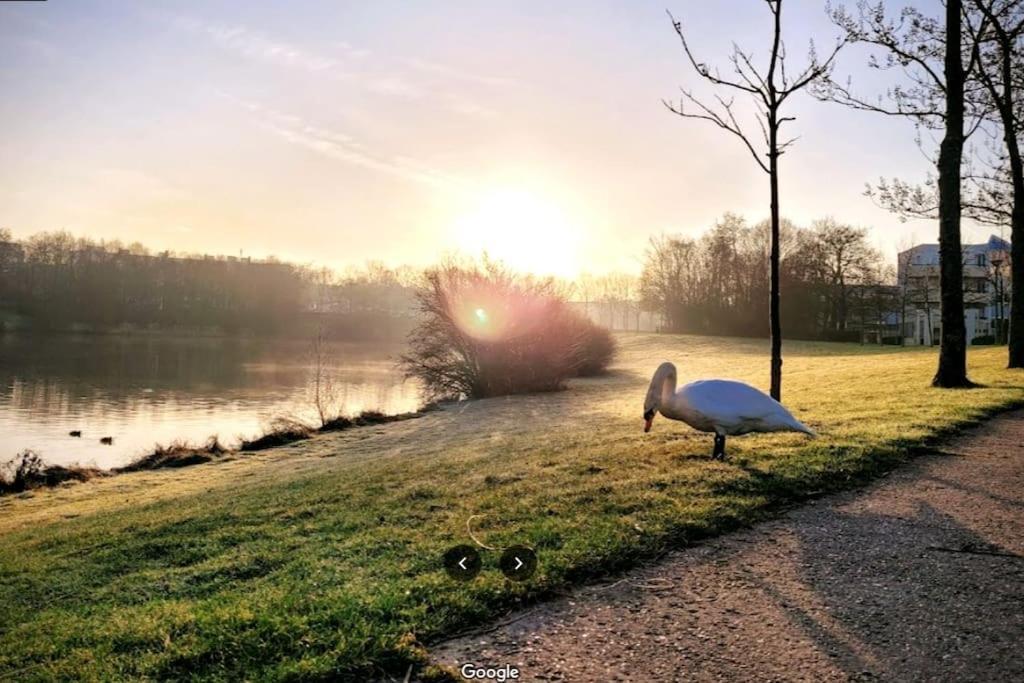 Sejour En Famille Ou Amis A Disneyland & Paris Lognes Ngoại thất bức ảnh